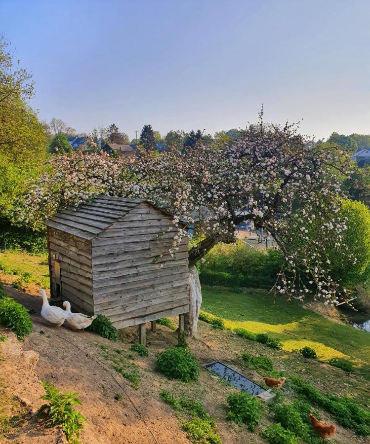 Custinne La Maison Du Sabotier 아파트 외부 사진